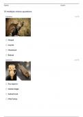 WILDLIFE CDE GENERAL ID QUESTIONS AND ANSWERS