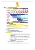 UPNS MISC Exam 2 SG #2 	OB EXAM 2