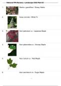 NATIONAL FFA NURSERY / LANDSCAPE CDE PLANT ID QUESTIONS AND ANSWERS