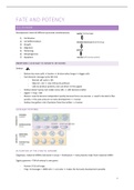 samenvatting concepts of developmental biology 