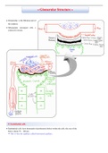 Dr. Najeeb lecture notes Renal physiology and Pathology