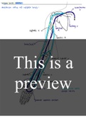 Human anatomy (EPHE141)- venous drainage head&neck, limbs, abdomen and hepatic portal system