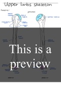 Summary  Human anatomy- upper limbs skeleton and joint classification