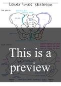 Summary  Human anatomy- lower limbs skeleton and joint classification