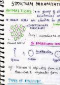 STRUCTURAL ORGANISATION IN ANIMALS Class 11 biology chapter 1