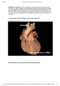 Assignment NRSG 202 Anatomy and Physiology II (Print Assignment: Blood Vessel Identification Practice :)