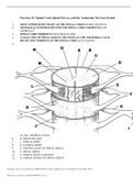 ZOO 3731 Exercise 21: Spinal Cord, Spinal Nerves, and the Autonomic Nervous System