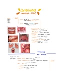 Microbiología baterías 