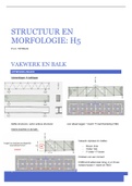 Hoofdstuk 5 structuur en morfologie