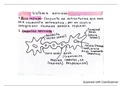 Flashcard Ciencias básica (biología, química y física)