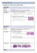 Samenvatting histopathologie: PATHOLOGIE VAN DE CEL  door L. Ferdinande (2022)