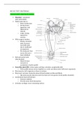 Biomechanics (KIN 365) Exam 3 Materials, Ch 8-10