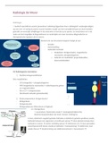 Topografische en radiologische anatomie: radiologische beelden