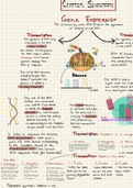 Campbell Biology 11th Edition Chapter 17