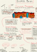 Campbell Biology Chapter 7 Class Notes 