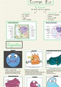 Campbell Biology 11th Edition Chapter 6 Notes