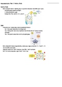 Macromolecules: Nucleic Acids Notes