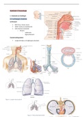 Samenvatting  Pathologie - Pneumologie deel 1