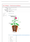 BIO 124 Week 3   Plant Structure Lab Report GEORGIA MILLITARY COLLEGE