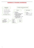 Levensloop H3 - de prenatale ontwikkeling: Uitgebreide samenvatting van boek, PPT en eigen nota's
