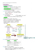 Resumen  Biologia Y Bioquimica General (102443)