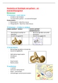 Anatomie en Fysiologie: Binnenoor