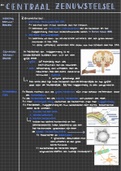 Biologie samenvatting H14 6vwo - Nectar