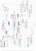 schema's organische scheikunde