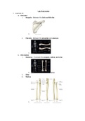 Biology II Lecture Final Review