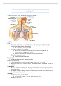 Samenvatting: Pathologie P3-4 3BL (KdG) 2021/2022