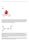 biological molecules  and their importance in maintaining biochemical processes