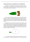 Spore Discharge and Dispersal in Mushroom