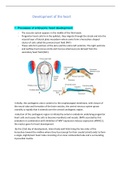 Full summary of case 11 heart development