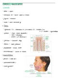 Samenvatting  Anatomie, Spijsverteringsstelsel ( H.Hoekstra) BMW