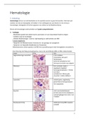 Uitgebreide Hematologie samenvatting