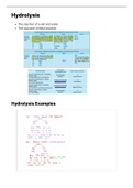 Hydrolysis (Grade 12 Summary)