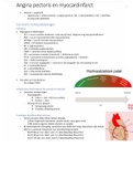 Tractus circulatorius, angina pectoris (pathologie)