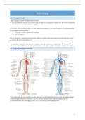 Vasculaire pathologie