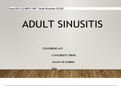 Tessy KK K 22 NR511 WK 7 Adult Sinusitis (1)1222      ADULT SINUSITIS         CHAMBERLAIN UNIVERSITY PROF. ALLEN OCTOBER 2021