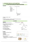 Ziektemechanismen, samenvatting - Prof. Vangoitsenhoven