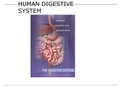 Digestive System