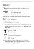 Samenvatting natuurkunde hoofdstuk 1 havo 3