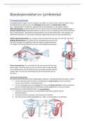 Bloedvatenstelsel & Lymfestelsel VWO-Bovenbouw | Samenvatting