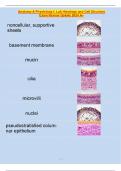 Anatomy & Physiology I- Lab Histology and Cell Structure  Exam Review Qs&As 2024 A+ 