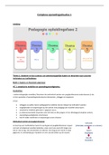 Samenvatting Complexe opvoedingssituaties I 