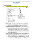 BIO 353 - Cell Biology Exam 2 Version B, BIO353 Exam 2 (100 points)