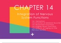 anatomy and physiology chapter 14 : integration of nervous system functions