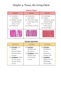 Summary of Chapter 4 Human Anatomy & Physiology, Anatomy And Physiology I (BIOL2401)