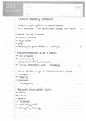 Nederlands mondeling vwo 6, SAMENVATTINGEN BOEKEN (eindcijfer 9!)