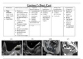 Uterus Pathology - Ultrasound